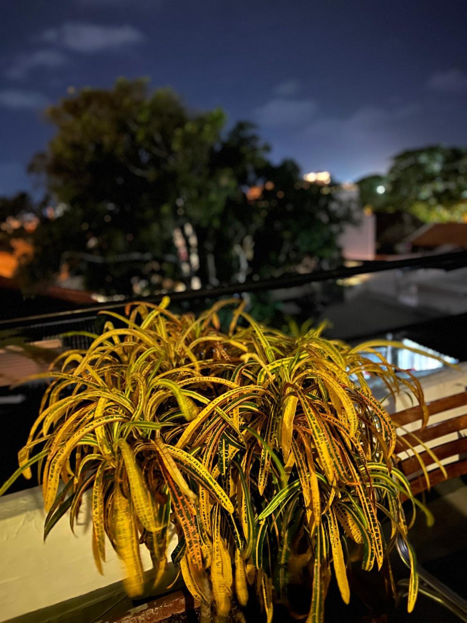 Cartagena La Viduka Hostel מראה חיצוני תמונה